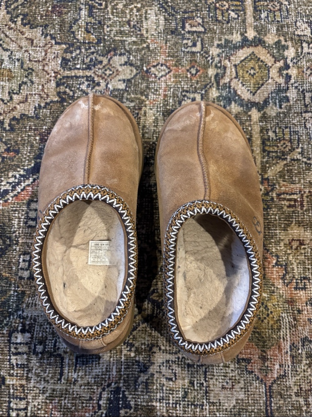 Tasman Ugg